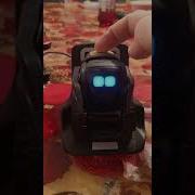 Anki Vector CTRL App Support