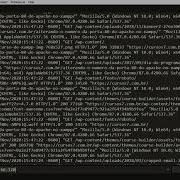 39013 Curso Debug WordPress Aprendendo A Ler Logs