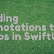 Adding Annotations To Map In SwiftUI Patrons Only