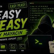 Easy Peasy Try Hack Me