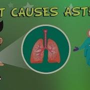 What Causes Asthma The Dr Binocs Show Best Learning Videos For Kids Peekaboo Kidz