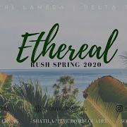 Kappa Phi Lambda Stony Brook University Rush Spring 2020