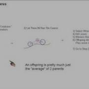 Simulated Evolution Of A Simple Car Using A Genetic Algorithm