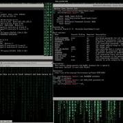 Brute Force MySQL