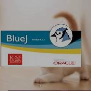 Short Video On How To Run A JAVA Program In Bluej