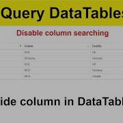 07 How To Hide Column In DataTable With Source Code JQuery DataTable Example