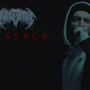 TO THE GRAVE Wastage Official Music Video