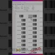 Print Bulk Barcodes QR Codes In MS Word Excel 2 Shorts