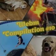 Webm Compilation 10