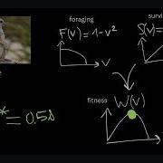 EvoBioCC Lecture On Adaptive Dynamics