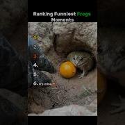 Ranking Best Frogs