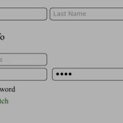 Password Confirm Password Match Validation With Show Password Option