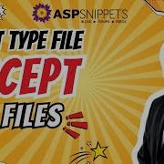 INPUT Type File Accept All Files In HTML