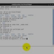 How To Install Apache On Linux From Source Overriding Directives Locally