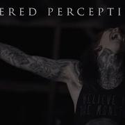 Altered Perceptions Equalize Music Video