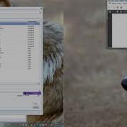 XRD Library Search Match DIFFRAC SUITE EVA