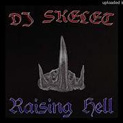 DJ Skelet Aka Malin Genie Wig Splitter
