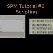 SPM Tutorial 6 Scripting