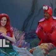 Princess And Crabby Find Osama Bin Laden S Corpse Below The Waves SNL