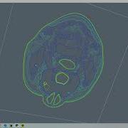 VTK Python Example FlyingHeadSlice