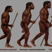 Происхождение человека и разума рассказывает Станислав Дробышевский