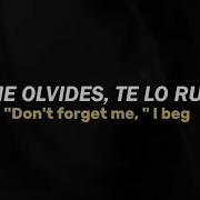 Adele Someone Like You Español Lyrics