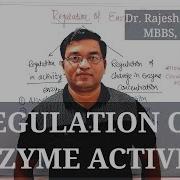 8 Regulation Of Enzyme Activity