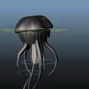 JellyFish