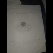 10th Class Chemistry Practical Experiment 1