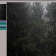 Tree Tracker