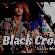 The Black Crowes Jealous Again 1990 Reelin In The Years Archive