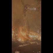 Couple S Harrowing Escape From South Carolina Fire