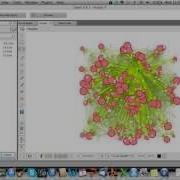Labels Gephi Partition