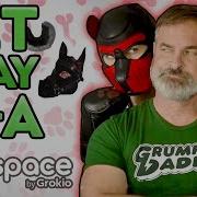 PET PLAY HAUL Q A