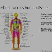 Quantitative Biological Research With Python Lesson 8 Lecture Gene Expression