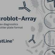 Microblot Array MBA