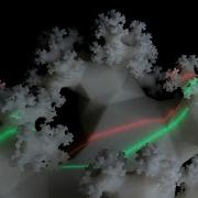 Real Life Fractal Tree Zoom