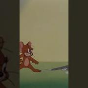 Tom Shrinks Becoming Small Than Jerry
