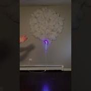 Clap Lights Set Up