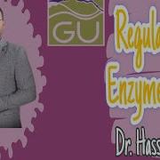 Regulation Of Enzyme Activity