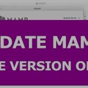 How I Update MAMP 2 2 To MAMP 4 1 Free Version