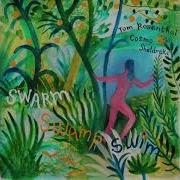 Tom Rosenthal Cosmo Sheldrake Swarm Swamp Swim
