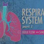 Respiratory System Part 1 Crash Course Anatomy Physiology 31