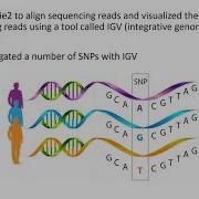 WES Sequence Alignment Variant Calling And Annotation Review Part 2