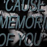 Knuckle Puck Fences Lyric Video