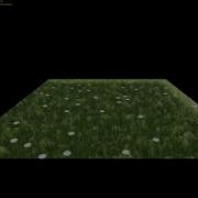 Grass Shader Test