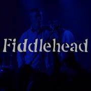 Fiddlehead Full Set 4K Chain Reaction