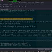 SQL Injection Attack Querying The Database Type And Version On Oracle