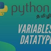 Python Programming 3 Variables Datatypes Tamil