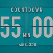 55 Minutes Countdown Flip Clock Timer Cuckoos